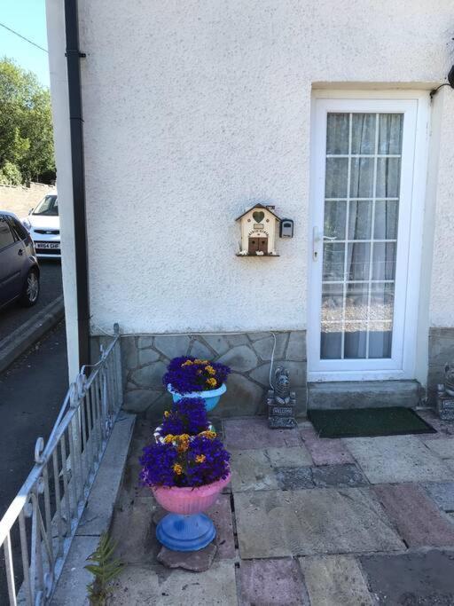 Cosy Cottage In Garnant Esterno foto